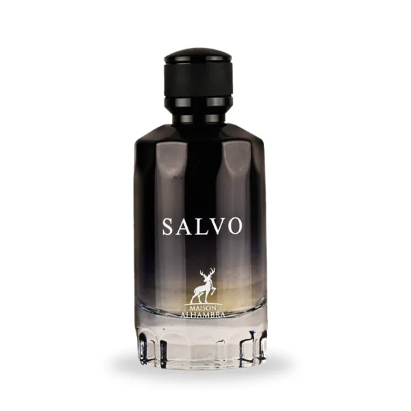 Salvo
